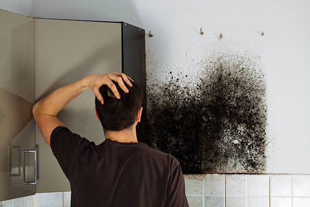 Best Local Mold Removal Service  in Pinehurst, NC